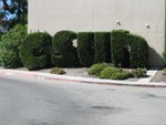 CSUN.jpg